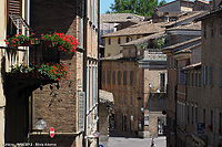 Camminando nel Rinascimento - Per le vie