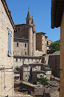 Camminando nel Rinascimento - Scorcio su Palazzo Ducale