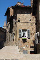 Camminando nel Rinascimento - Per le vie