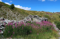 Arpy e il Colle della Croce - Colle della Croce
