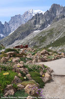 La funivia del Monte Bianco - Giardino botanico 