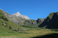 Immersi nella natura - Conca di Planaval