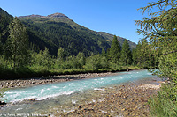 Immersi nella natura - Val Ferret