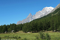 Immersi nella natura - Val Ferret