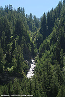 Immersi nella natura - Val Ferret