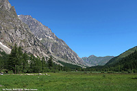 Immersi nella natura - Val Ferret