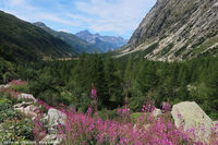 Le valli del Monte Bianco - Val Ferret
