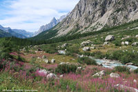 Le valli del Monte Bianco - Val Ferret