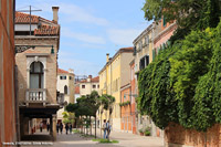 Per campi e calli - Giardini dietro i muri