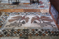 Mosaici, pietre e dintorni - Basilica di San Marco