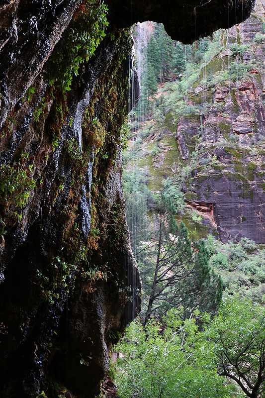 I parchi nazionali - Zion Park