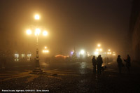 La nebbia di sera - Alberi di natale