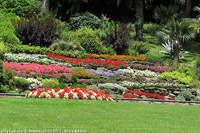 Giardini sul lago - Arcobaleno di fiori
