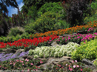 Giardini sul lago - Tripudio di colori