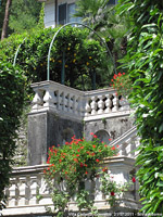 Giardini sul lago - Fiori e limoni