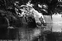 Giardini sul lago - Tartarughe nel laghetto